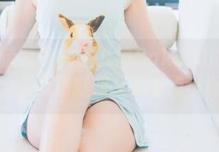BoLoli菠萝社 – 猫九酱Sakura的礼服写真，画风清新却又透着点小调皮