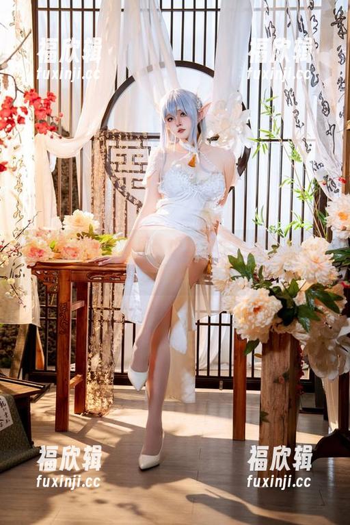 你夏夏的奇妙世界：虎鲸自摄资源合集任你翻阅