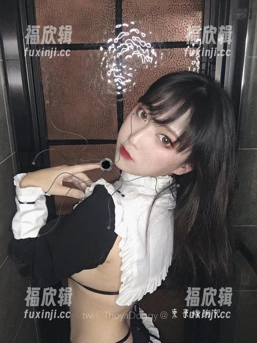 海边遇见奇行家狗崽：高清原图，沙子都想加入派对！