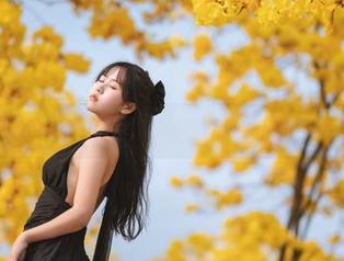 萌芽儿o0的小D睡衣全集，无处不在的撩人气息，速来下载！